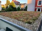 Dachbegrünung einer Garage - Beispiel 2 nachher